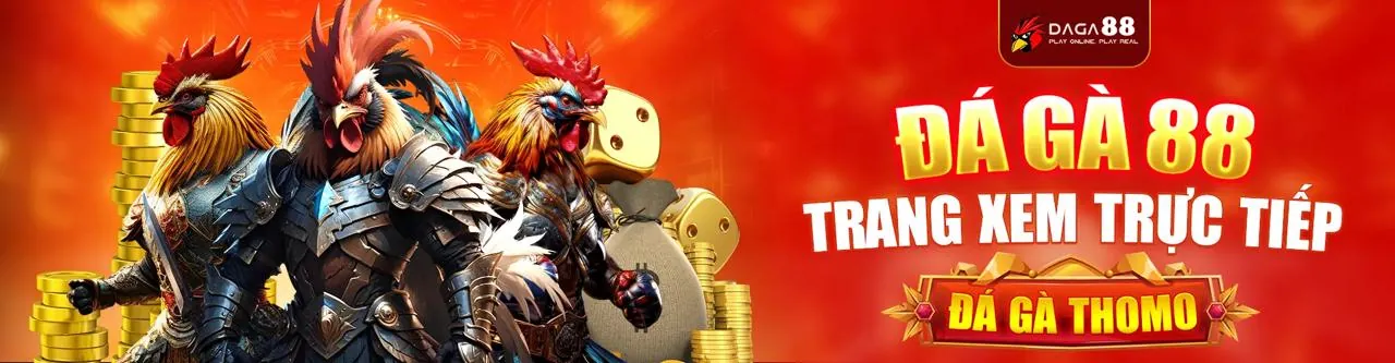 Hình ảnh chính sách bảo mật của 888bet khuyến mãi